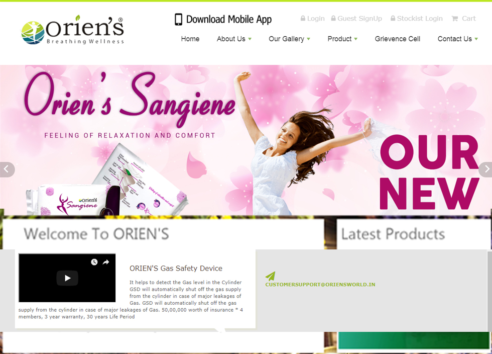 Web Design